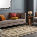 Schenevus Area Rug