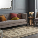 Schenevus Area Rug