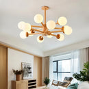 Scild Chandelier