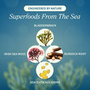 Irish Sea Moss with Iodine Energy Support