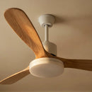 Sema Ceiling Fan