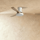 Sema Ceiling Fan