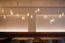 Series 21 Pendant Light Cluster