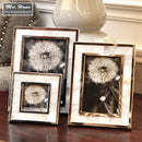 Set of 3 golden alloy shell photo frames bedroom desk decor