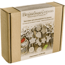 Set of blanks for embroidery on wood FLSW-006
