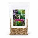 Shady Lane Native Wildflower Seed Mix | 2.88 oz | Prairie Legacy Inc.
