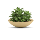 Oceanside Outdoor Shallow Planter