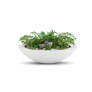 Oceanside Outdoor Shallow Planter