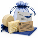 Sun Kissed Coast Hair Care Bundle | Shampoo and Conditioner | Whale Tale Soapworks
