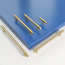 Shavi Pull Bar
