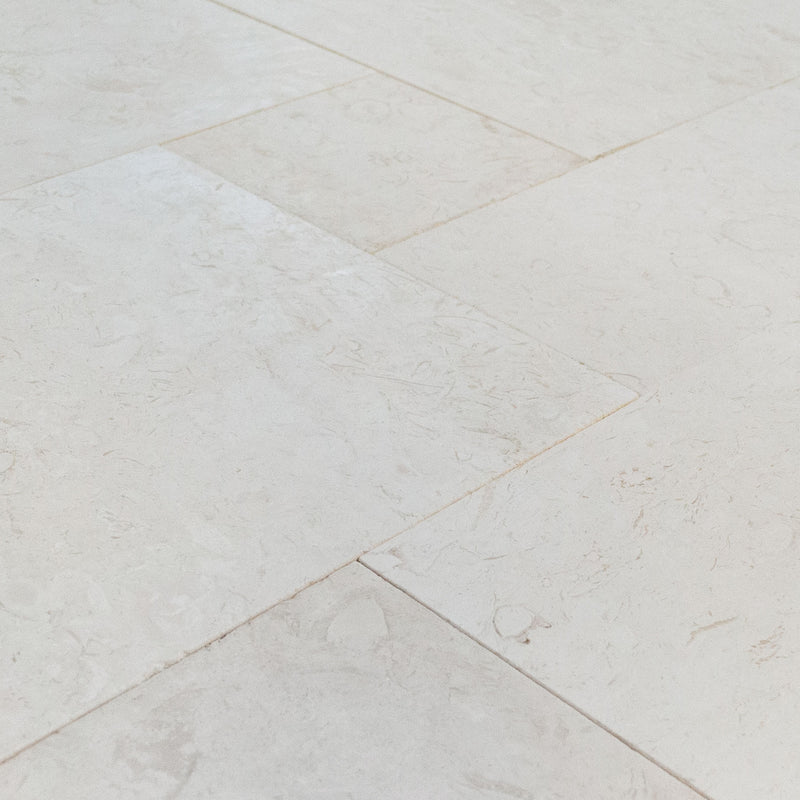 Shell Stone White Fossil Limestone Tiles 4 sized Pattern Tumbled