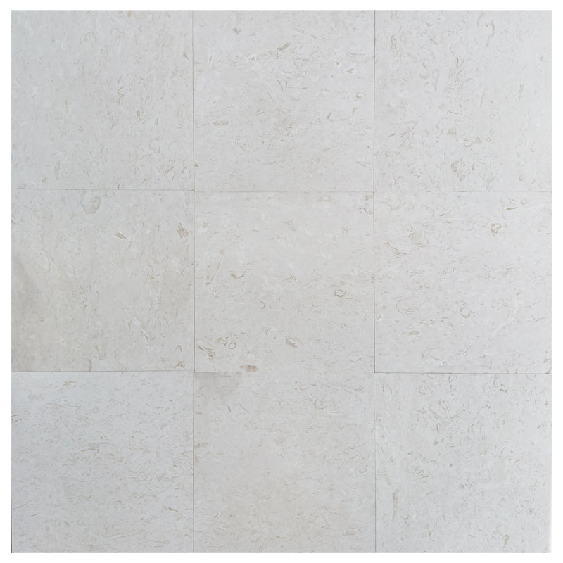 shell stone limestone brushed 24x24 9 tiles top view