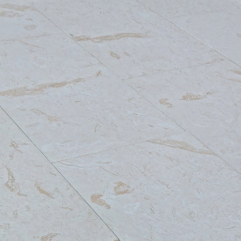 shellstone white limestone pavers outdoor tile 18x36 angle view