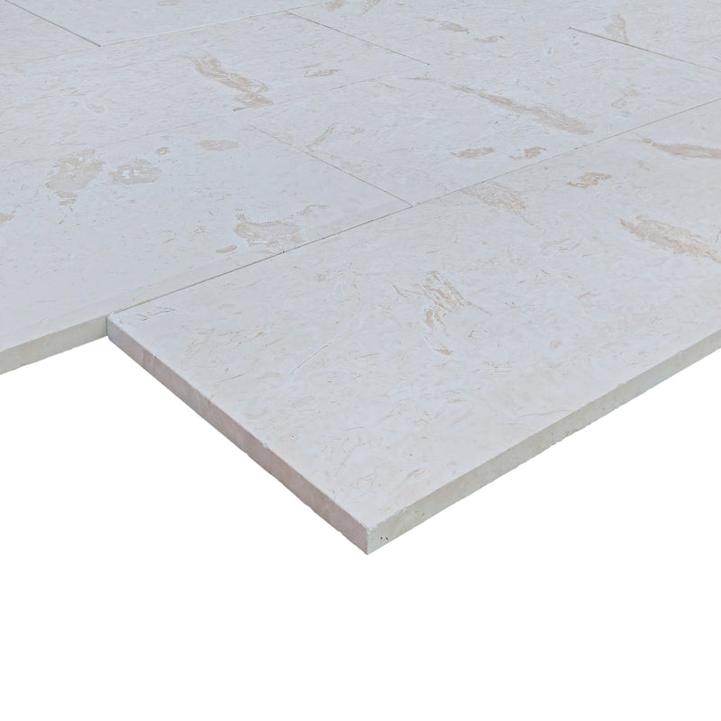 shellstone white limestone pavers outdoor tile 18x36 profile