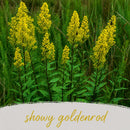 Front Yard Friendly Live Plant Landscape Kit | Prairie Legacy Inc.