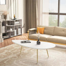 Shulh Coffee Table