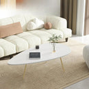Shulh Coffee Table