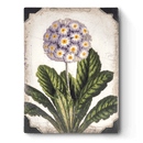 First Bloom - RETIRED Memory Block Tile