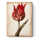 Scarlet - RETIRED Memory Block Tile