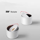 Sidra Ceiling Light - Open Box