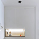 Silis Adjustable Downlight