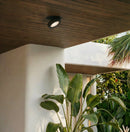 Simon Downlight
