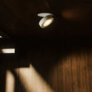 Simon Downlight