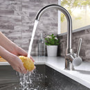 Single-Handle Pull-Down Sprayer Kitchen Faucet