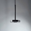 Sinora Outdoor Pendant Light