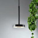 Sinora Outdoor Pendant Light