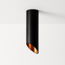 Siona Ceiling Light