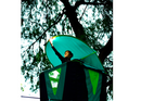 Slackers Adventure light