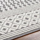 Drago Gray 3D Area Rug - Clearance