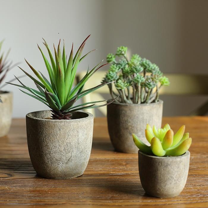 assorted fake succulents Small Succulent in Planter Randomly Picked Set of 5