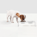 Small Black or White Bowl Feeder