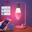 Smart LED Lamps | E14 RGB CW WW Dimmable Bulb with Voice Control