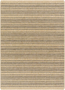 Aphea Indoor & Outdoor Rug