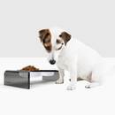 Small Smoke Grey Feeder