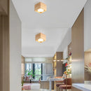 Soglo Downlight