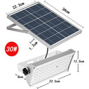 Solar Powered Outdoor Lights in Garden for Pathway and Landscape Glow
