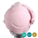 Raspberry Sorbet | Pack of 4 | One Pint | Gluten & Dairy Free | Shipping Included | eCreamery