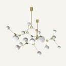 Spectra Chandelier Light