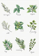 Spices and herbs B2345L Counted Cross-Stitch Kit