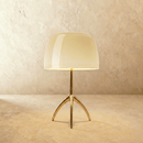 Splendore Table Lamp