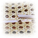 Cane Spline