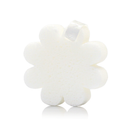 Sweet Patchouli | Boxed Flower