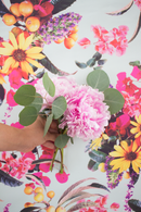 Springtime Wallpaper, pink and blue