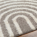 Arnel Brown Area Rug - Clearance
