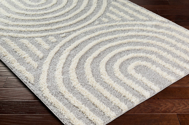 Arnel Gray & Beige Area Rug