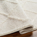 Daube Area Rug - Clearance